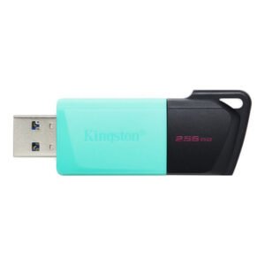 Kingston DataTraveler Exodia M - Unidad flash USB - 256 GB USB 3.2 Gen 1